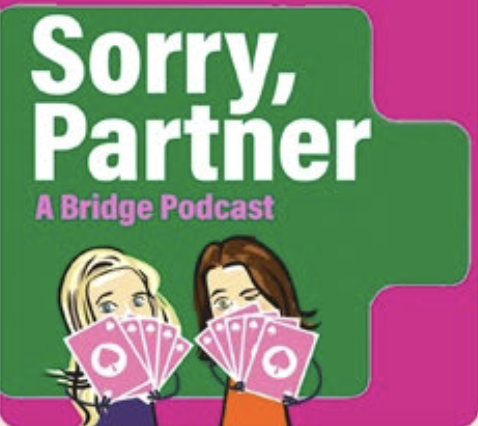 visual for bridge podcast Sorry partner